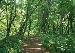 点滴によるアンチエイジング治療が受けられます